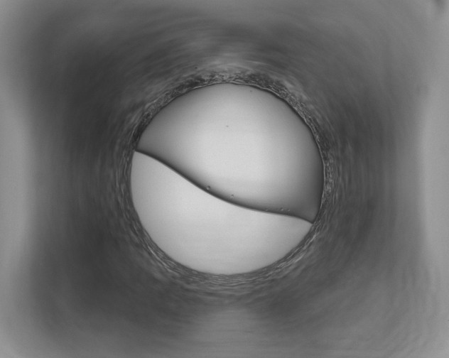 X0000111891109200907231441