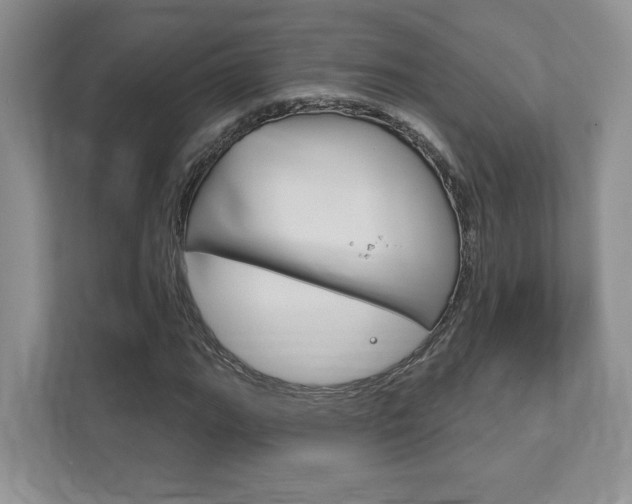 X0000111891111200907231441