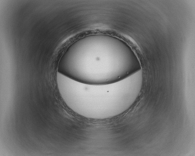 X0000111891112200907231441