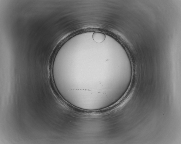 X0000111891113200907231441