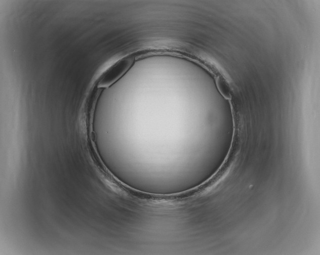 X0000111891114200907231441