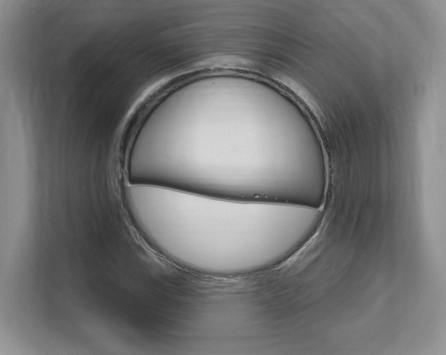 X0000111891115200907231442