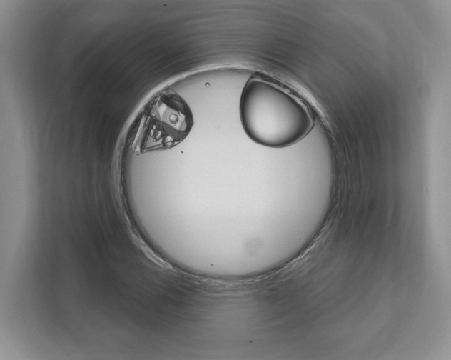 X0000111891116200907231442