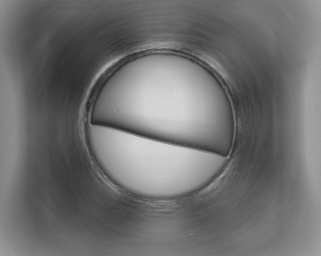 X0000111891119200907231442