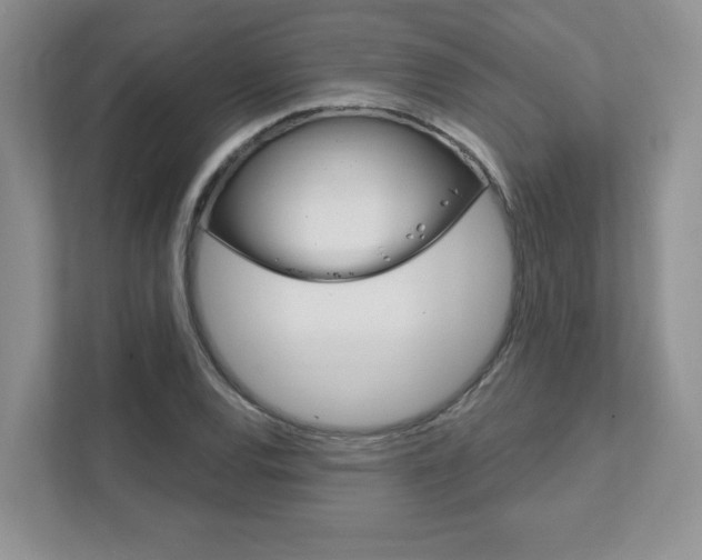 X0000111891120200907231442