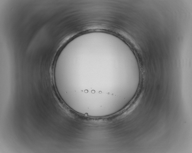X0000111891121200907231442