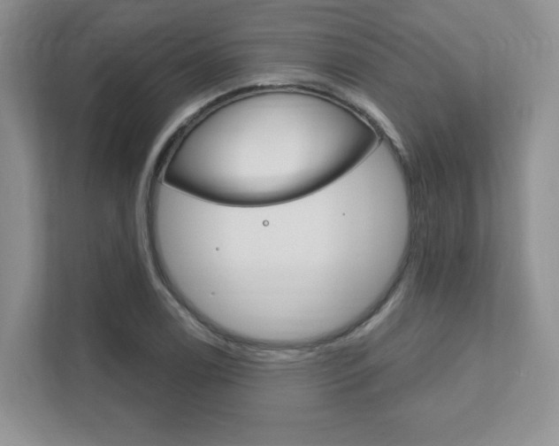 X0000111891122200907231442
