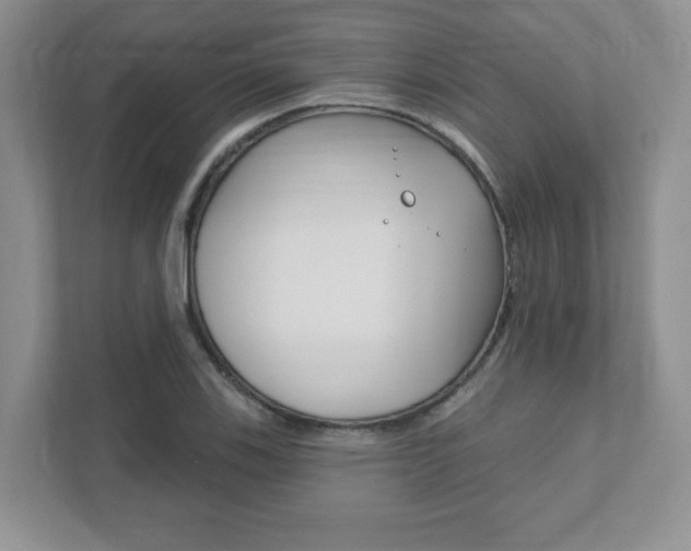 X0000111891123200907231442
