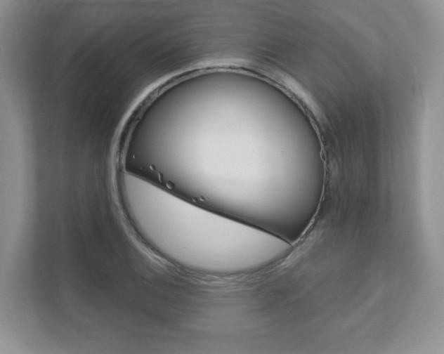 X0000111891124200907231442