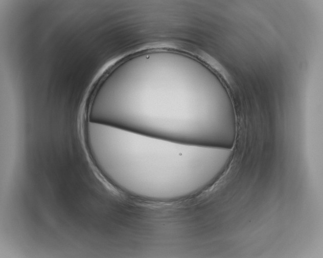 X0000111891127200907231442