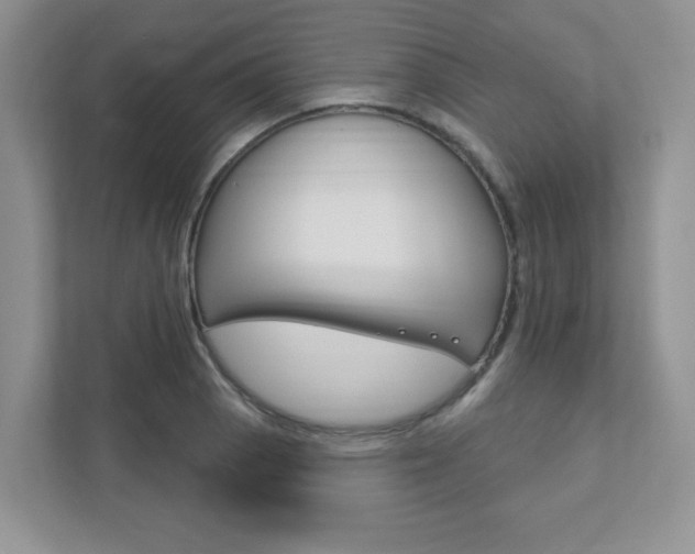 X0000111891129200907231442
