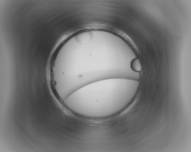 X0000111891130200907231442