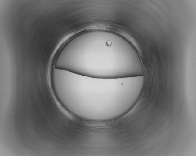 X0000111891131200907231442