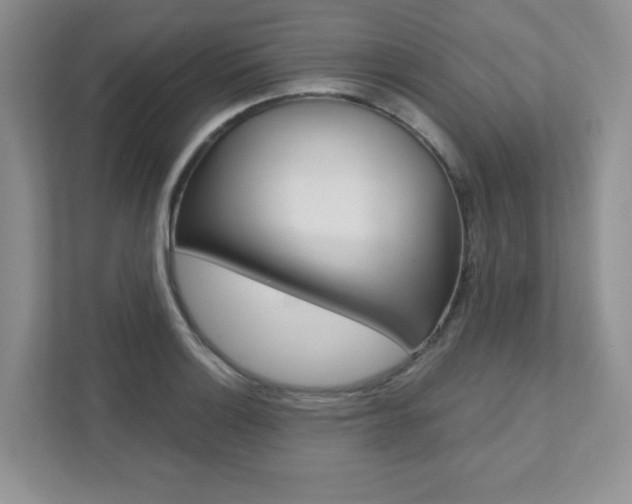 X0000111891132200907231442