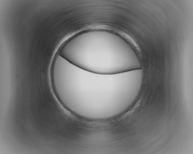 X0000111891133200907231442