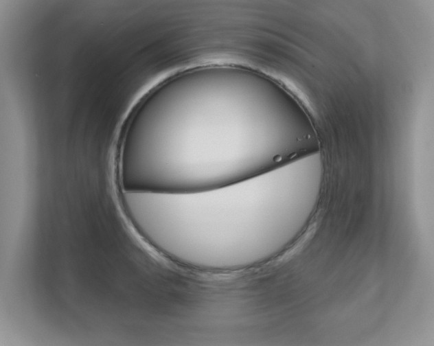 X0000111891134200907231442