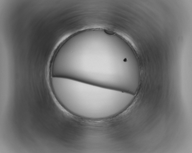 X0000111891135200907231442