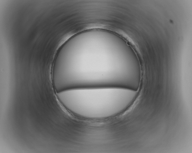 X0000111891137200907231442
