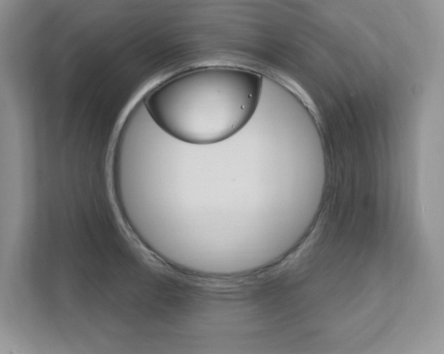 X0000111891138200907231442