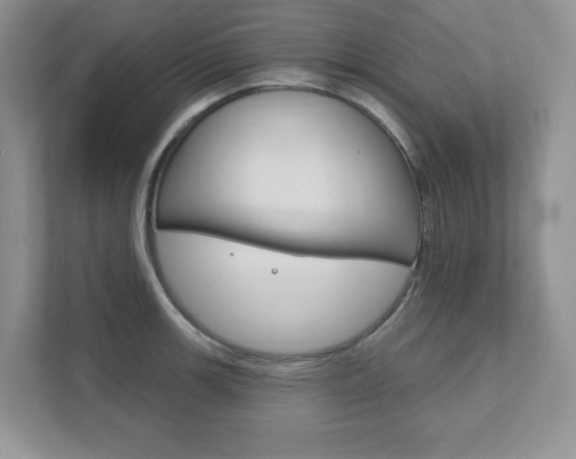 X0000111891139200907231442