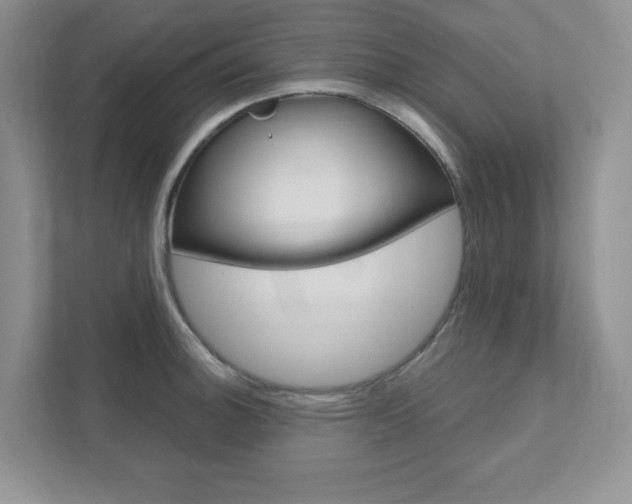 X0000111891140200907231442