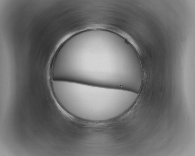 X0000111891143200907231442