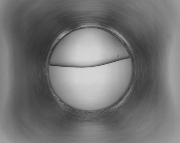 X0000111891145200907231442