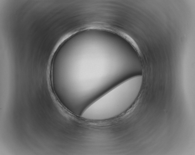 X0000111891146200907231442