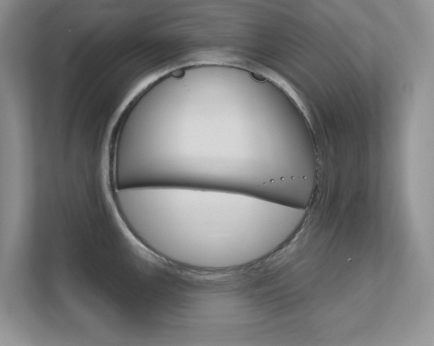 X0000111891147200907231442