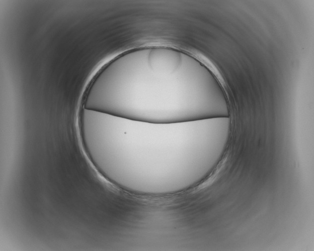 X0000111891149200907231442
