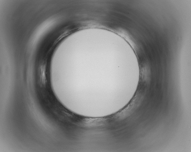 X0000111891150200907231442
