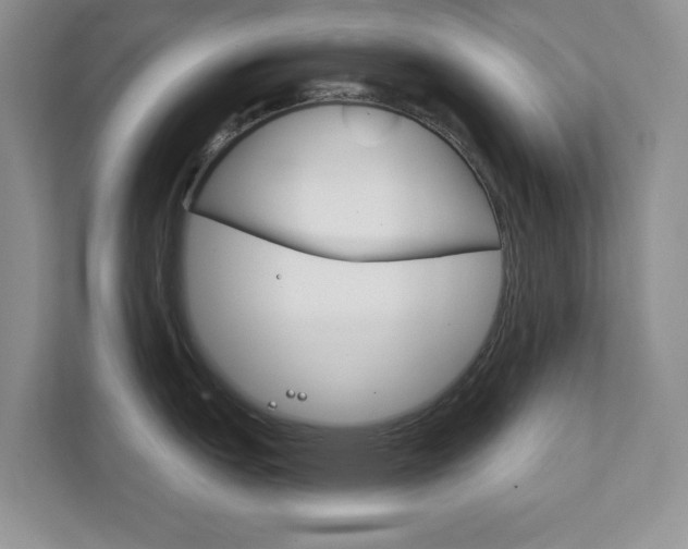 X0000111891151200907231442