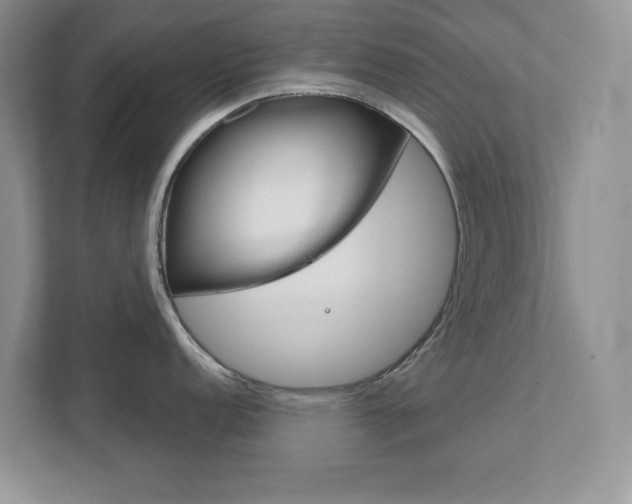 X0000111891152200907231442