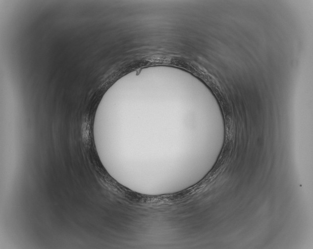X0000111891154200907231441
