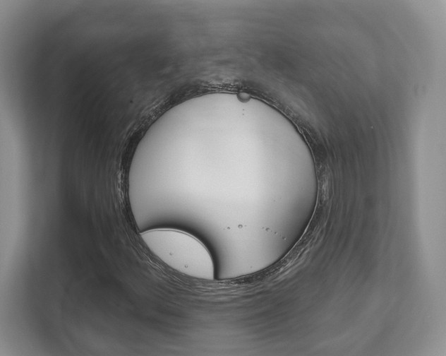 X0000111891156200907231441