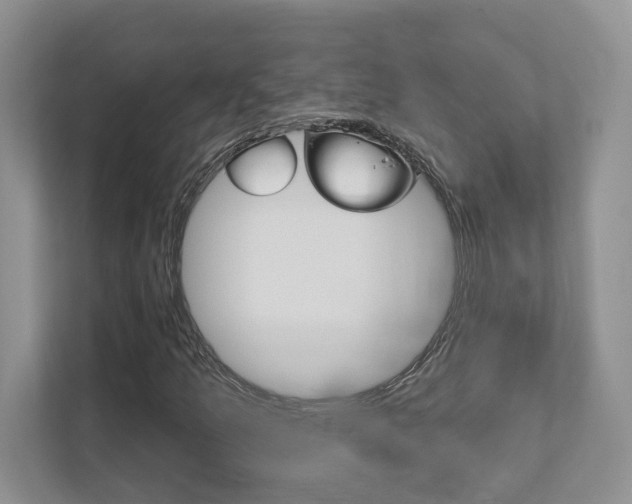 X0000111891157200907231441