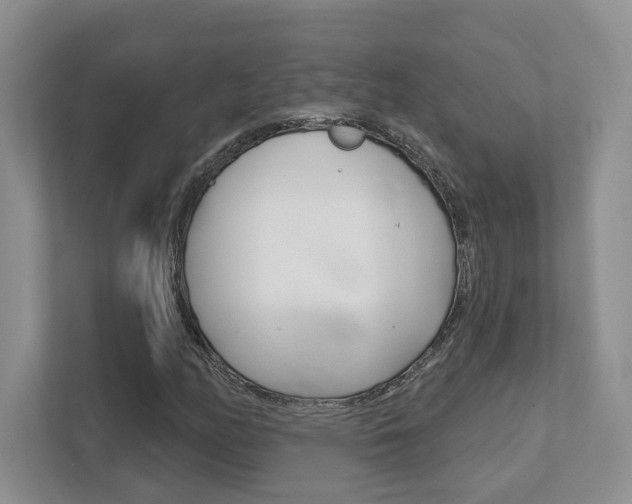 X0000111891158200907231441