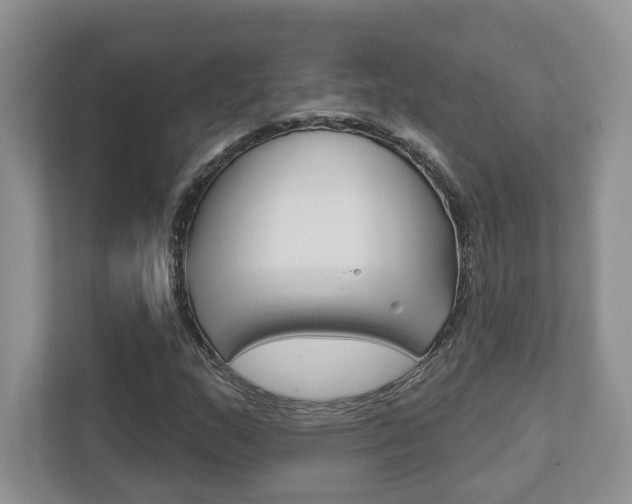 X0000111891159200907231441
