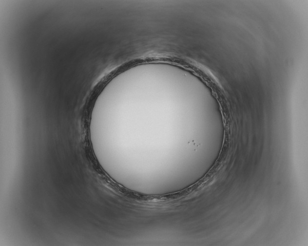 X0000111891160200907231441
