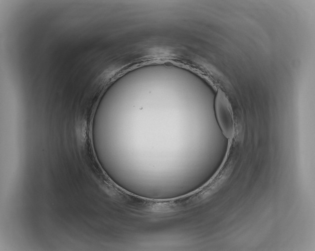 X0000111891161200907231441