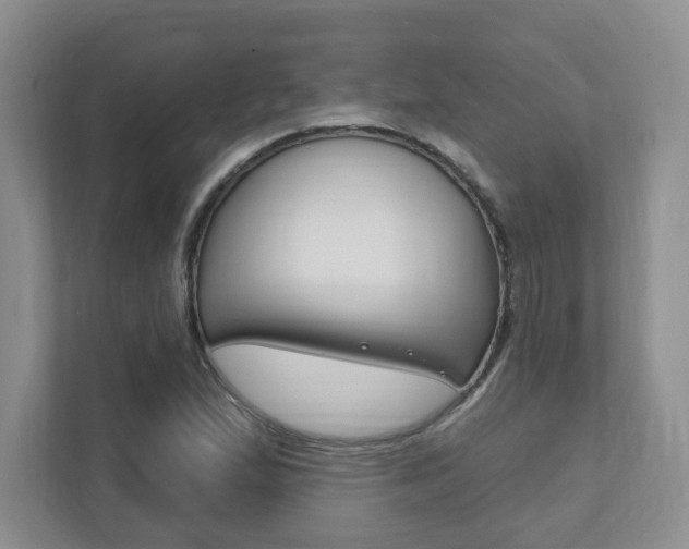 X0000111891167200907231441