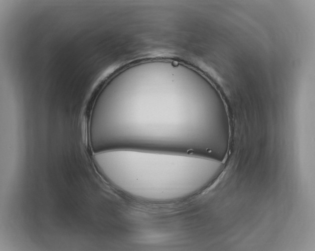 X0000111891171200907231441