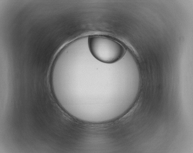 X0000111891173200907231441