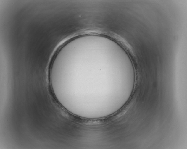 X0000111891174200907231441