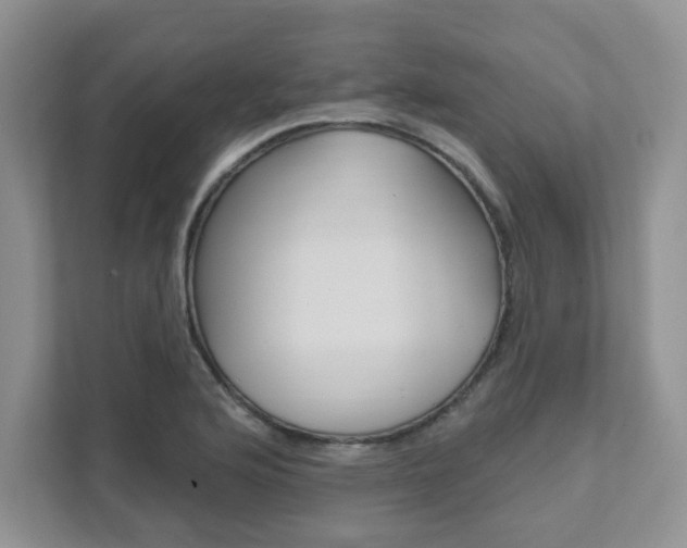 X0000111891176200907231441