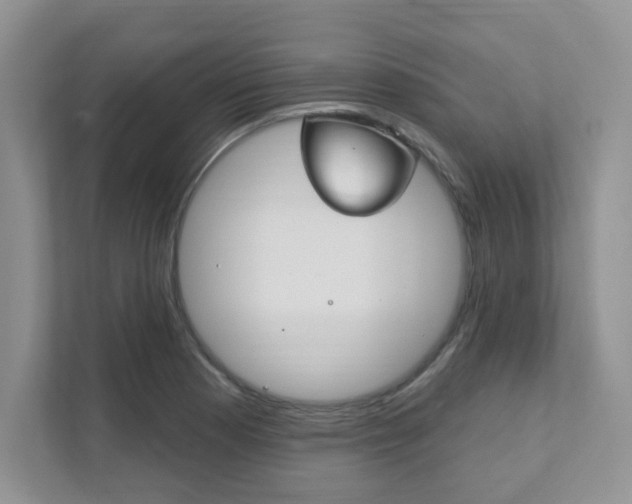 X0000111891177200907231441