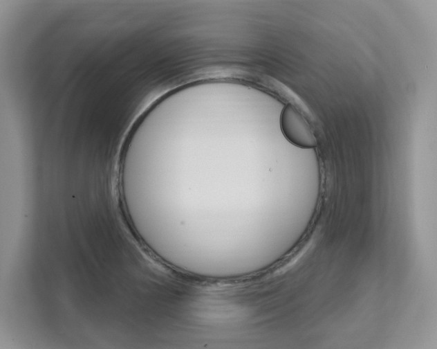X0000111891178200907231441