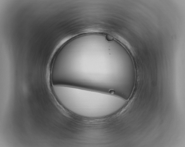X0000111891179200907231441