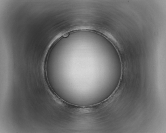 X0000111891181200907231441