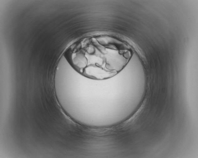 X0000111891185200907231441